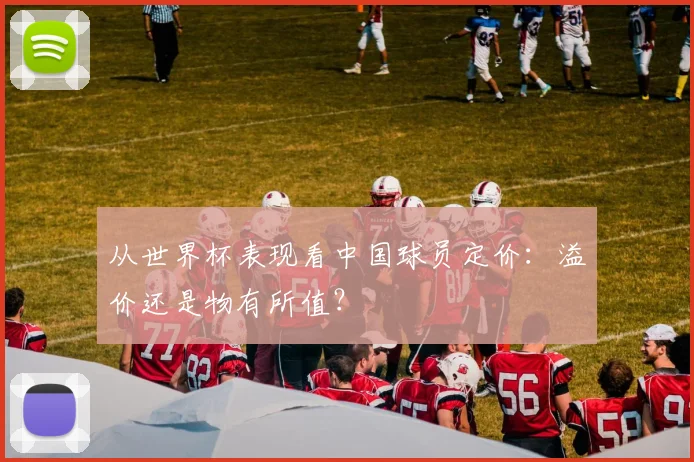 从世界杯表现看中国球员定价:溢价还是物有所值?