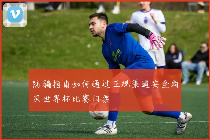 防骗指南如何通过正规渠道安全购买世界杯比赛门票