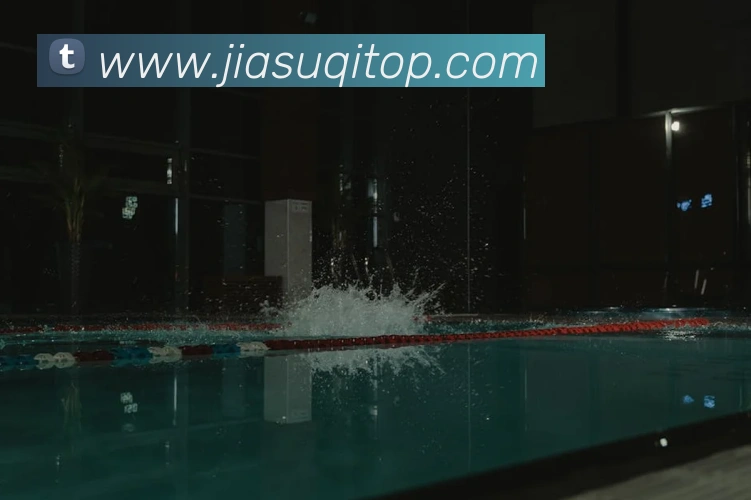 App Interface Preview