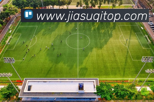 米兰app官方下载平台APP 封面图